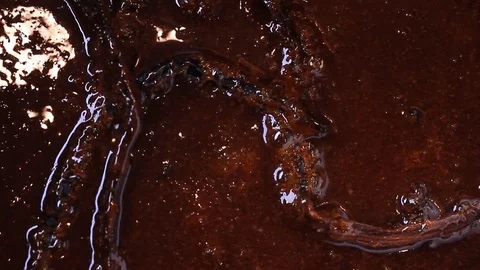 Pastry Handmade caramel sugar bubbles Chocolate Pralines Chocolatier Stock Footage 78726412