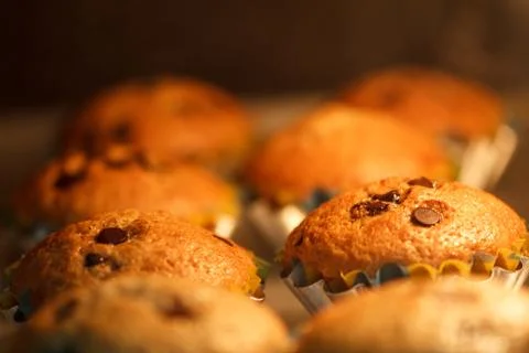 Pastry muffins Stock Photos