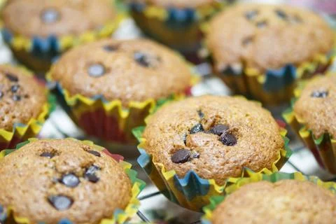 Pastry muffins Stock Photos