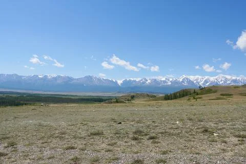 Pasture against a backdrop of snow-capped peaks. Stock Photos