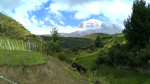 Pasture and Chimborazo Stock Footage 85937405