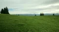pasture bavaria steadicam HD Footage