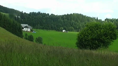 Pasture Stock Footage 953895