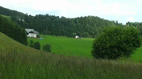 Pasture Stock Footage 954072