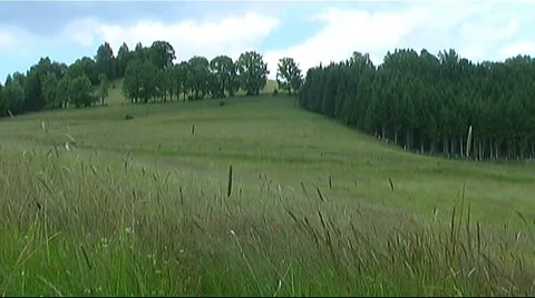 Pasture Stock Footage 954314