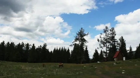 Pasture Stock Footage 11635075