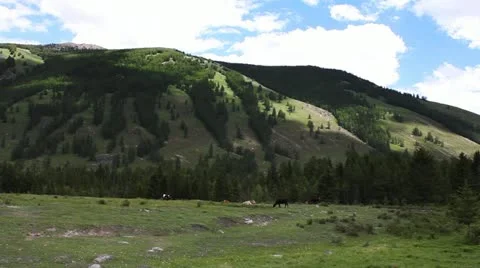 Pasture Stock Footage 11635333