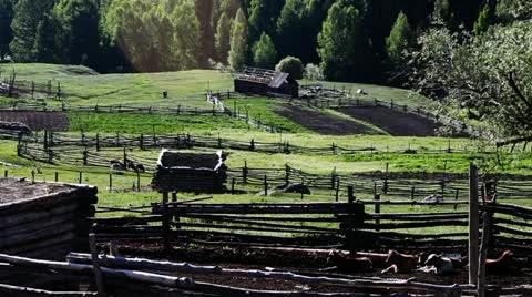 Pasture Stock Footage 11636561