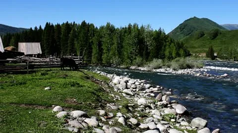 Pasture 動画素材 11636913