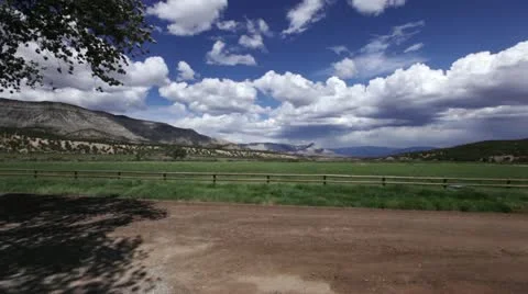 Pasture Stock Footage 21231817