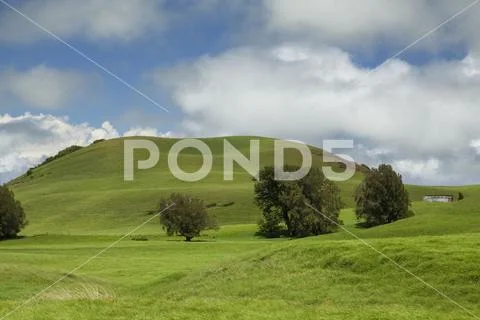 Pasture land of a cattle ranch on Kohala Mountain with an old metal water tank a Stock Photos