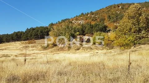 Pasture land on a hill slope in Bulgaria Stock Photos