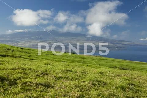 Pasture land on Parker Ranch, Kohala Mountain with Hualalai in the distance Stock Photos