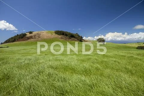 Pasture land on Parker Ranch, Kohala Mountain Stock Photos