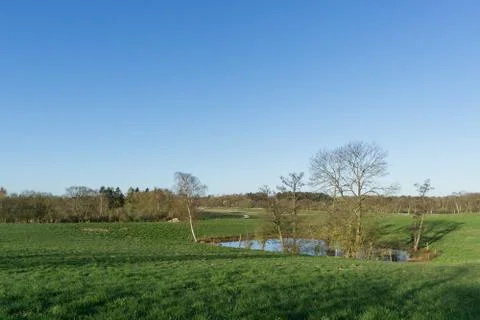 Pasture landscape Stock Photos
