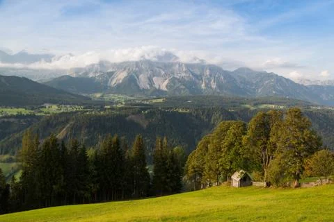 On pasture in mountains Stock Photos