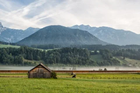 On pasture in mountains 库存照片