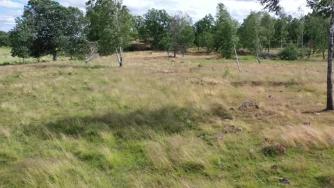 Pasture Norrköping Video stock 147123943