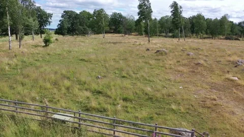 Pasture Norrköping Видео 147123947