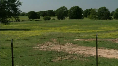 Pasture Pan with Oak Tree and Barbed Wire Stock Footage 8521767
