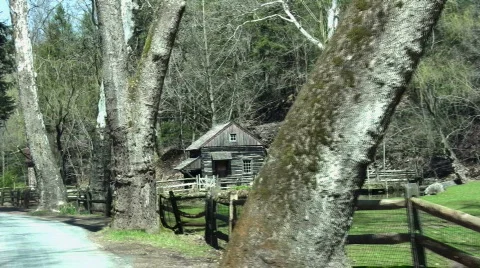 Pasture part three Stock Footage 114532