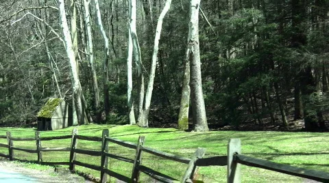 Pasture part two Stock Footage 115661