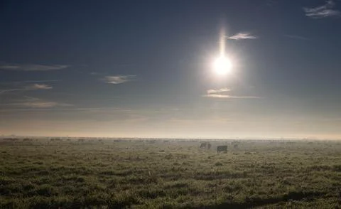 Pasture Foto stock