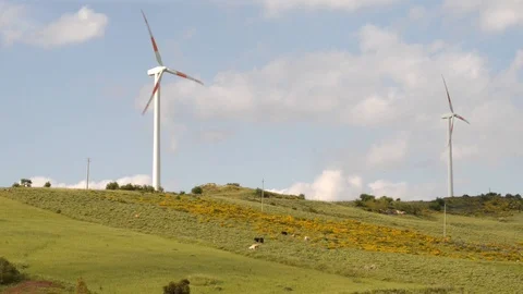 Pastures of Central Sicily Stock Footage 110904799