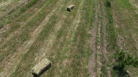 Pastures  green 2 Видео 335785378
