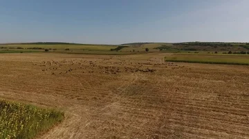 Pastures in Moldova 2 Stockbeeldmateriaal 85506383