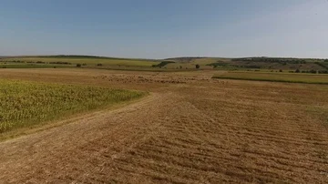 Pastures in Moldova  Stockbeeldmateriaal 85484727