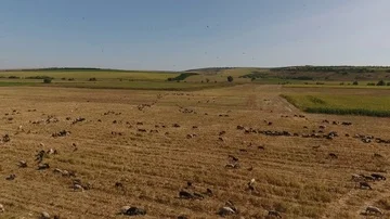 Pastures in Moldova  Stockbeeldmateriaal 85484728