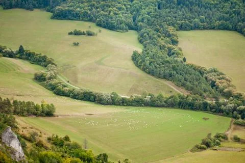 Pastures Stock Photos