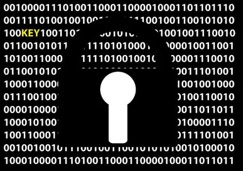 Pasword and key not only on internet Stock Illustration