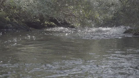PATAGONIA - CHILE - RIVER Stock Footage 89217959