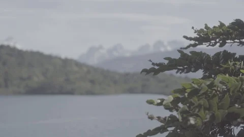 PATAGONIA - CHILE - RIVER - WIND Stock Footage 89216320
