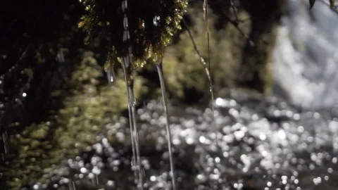 PATAGONIA - CHILE - STREAM Stock Footage 89216250