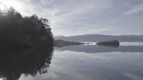 PATAGONIA - PAN - FOREST - RIVER Stock Footage 89215273