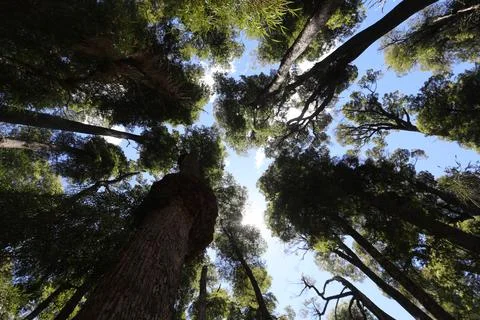 Patagonia Foto stock