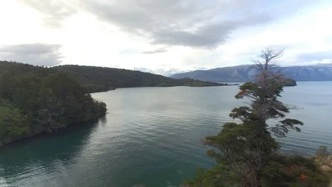 PATAGONIA - RIVER Stock Footage 89216762