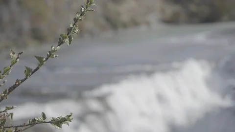PATAGONIA - RIVER - WATERFALL Stock Footage 89215153