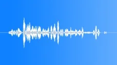 Patagonian Conure MCU ScreechingPipingSound Effect