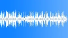 Patagonian Sealion CU CallsSound Effect