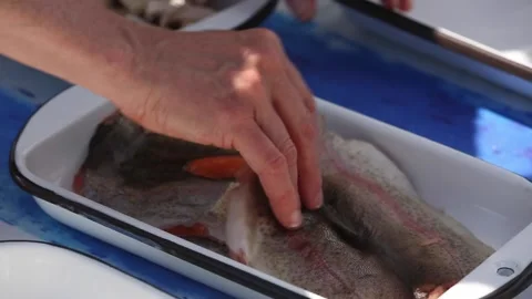 Patagonic trout in a baking dish Stock Footage 133749595