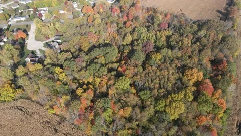 Patch of Autumn Trees next to Farmland and Suburban Neighborhood Stock Footage 141603197