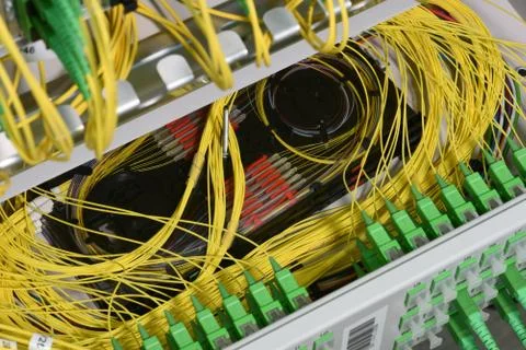 Patch cords cable and splicing the fibers on spice tray Foto stock