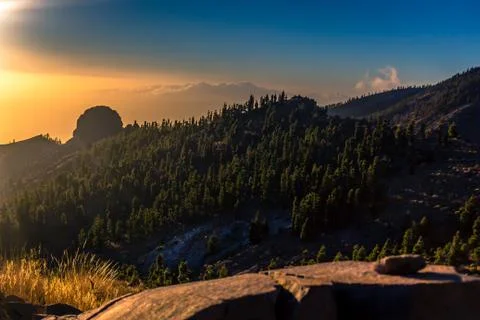 A patch of evergreen trees on a mountain side in tenerife, spain against a br Stock Photos