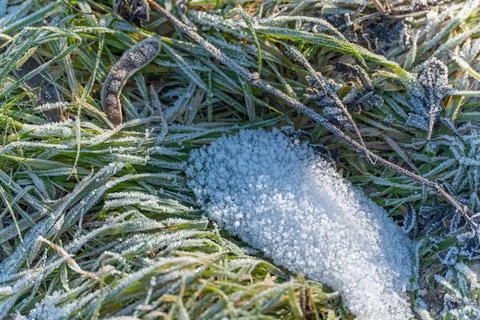 A patch of grass covered in snow and ice Stock Photos