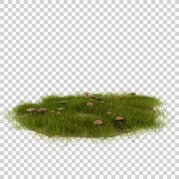 Patch of grass with mushrooms isolated on transparent background Foto stock