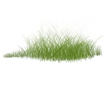 A patch of green grass isolated on a white background Stock Illustration